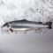 Large Salmon & Tuna Box (434kcal)