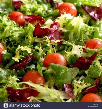 Mixed Leaf, Tomato & Spring Onion Salad