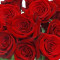 Debi Lilly Dozen Red Rose Bouquet (Red)