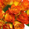 Debi Lilly Dozen Orange Rose Bouquet (Orange)