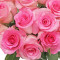 Debi Lilly Dozen Pink Rose Bouquet (Pink)