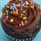 Chocolate Cupcake With Chocolate Frosting