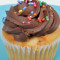 Vanilla Cupcake With Chocolate Frosting