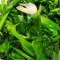 Pea Sprouts Stir-Fry With Garlic Suàn Róng Dà Dòu Miáo