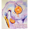 Tangerine Dreams