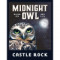 Midnight Owl