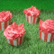 Cupcake [5 Piece]