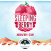 Sleeping Berry Sour