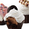 Ice Cream Cupcake Variety 6 Pack klar nu