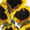 Sunflowers 3 Stem