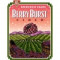 38. Berry Burst Cider