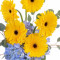 Yellow Blues Floral Arrangement