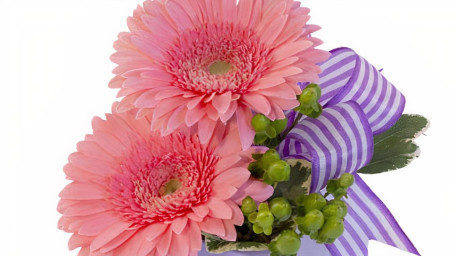 Petite Gerberas Floral Design