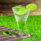 Lime Mint Cooler (750 Ml)
