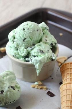 Chocolate Mint Fresh Batch Ice Cream Scoop