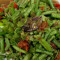 Green Bean Salad (Thum Maak Tua)