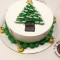 Christmas Cake [500 Gm]