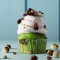 Rose Pistachio Cupcake