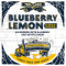 Blueberry Lemon Gose