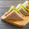 Plain Veg Sandwich [Non Grilled]