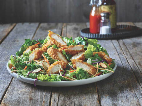 Oriental Grilled Chicken Salad Wrap