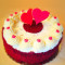Eggless Pure Red Velvet Cake