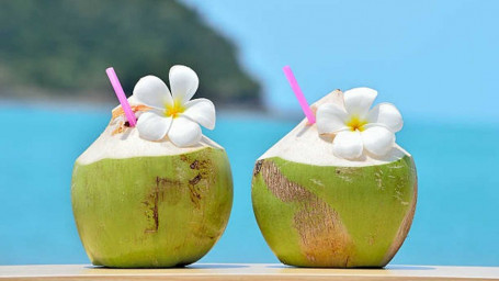 Premium Fresh Whole Coconut