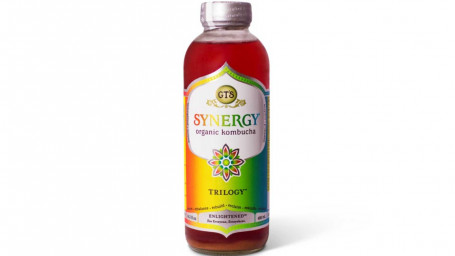 Gt Synergy Kombucha