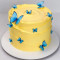 Butterfly Garden Cake