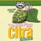 3. This Little Piggy Ipa: Citra