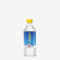 Vedica Water Bottle