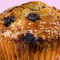 Blueberry Mammoth Muffin
