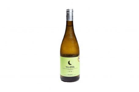 Yllera Verdejo