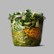 Spring Salad with Wild Garlic Dressing Vegetarian Salad