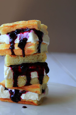 Blueberry classic ice cream waffle