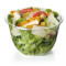 Caesar Salade Vegetarisch