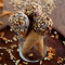 Choco Nut Belgian Cone (110 Gm)