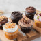 Assorted Cupcakes (Set Of 6)