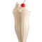 Shakes Vanilla Shake