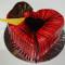 Heart Shape Chocolate Truffle (Red Color)