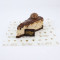 Hazelnut Cheese Cake