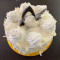 Eggless White Forest Cake [500Gm]