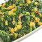 Mediterranean Chop Kale Salad