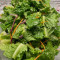 Lettuce Salad Shēng Cài Shā Lā