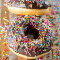 Rainbow Fantasy Donut