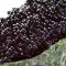 Black Cviar