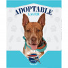 Adoptable Lager
