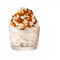 Snickers Bars Caramel Sweet Mini Ijscoupe