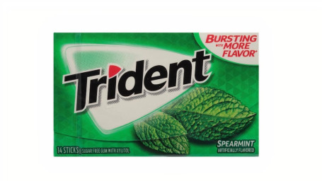 Trident Spearmint Gum 14Ct