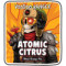 Voodoo Ranger Atomic Citrus Blood Orange Ale